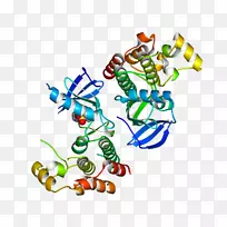 艺术有机体线动物剪贴画线-空若网 艺术有机体线动物剪贴画线-空若网