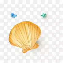 �������鱴���ɫ�����-������