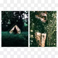 ��Ӱ��ͨ����������Ӱ-������