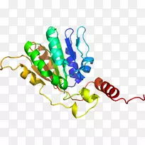 �߲��л���ϵ�м�����-�߲�-������