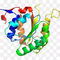 服装配饰线时尚剪贴画线-空若网 服装配饰线时尚剪贴画线-空若网