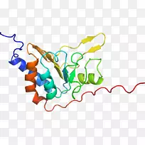 �ߵ������������-������