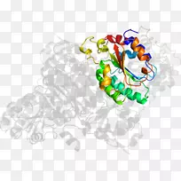 食品首饰系列剪贴画系列-空若网 食品首饰系列剪贴画系列-空若网