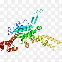 人体首饰有机体线剪贴画线-空若网 人体首饰有机体线剪贴画线-空若网