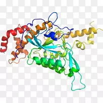 人体首饰有机体线剪贴画线-空若网 人体首饰有机体线剪贴画线-空若网