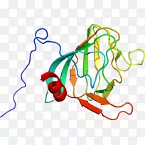 线点剪贴画-线-空若网 线点剪贴画-线-空若网