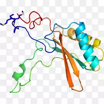 �ߵ������������-������