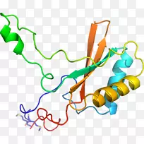线点剪贴画-线-空若网 线点剪贴画-线-空若网