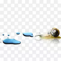 蜗牛星足螺-蜗牛-空若网 蜗牛星足螺-蜗牛-空若网