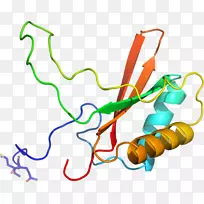 线点剪贴画-线-空若网 线点剪贴画-线-空若网