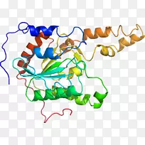 �ߵ������������-������