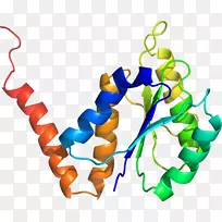 �����鱦�߼�������-������