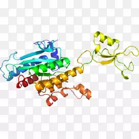 ���������л����߼�������-������