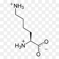 核酸单体氨基酸核苷酸-空若网 核酸单体氨基酸核苷酸-空若网