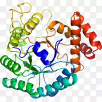 人体首饰有机体线剪贴画线-空若网 人体首饰有机体线剪贴画线-空若网