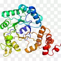 人体首饰有机体线剪贴画线-空若网 人体首饰有机体线剪贴画线-空若网