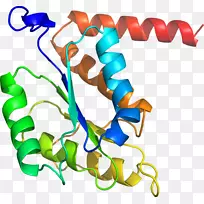 人体首饰有机体线剪贴画线-空若网 人体首饰有机体线剪贴画线-空若网