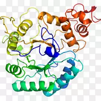 人体首饰有机体线剪贴画线-空若网 人体首饰有机体线剪贴画线-空若网