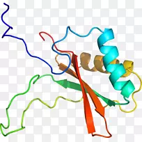 线点生物剪贴画线-空若网 线点生物剪贴画线-空若网