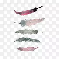 水彩画版画海报羽毛红羽毛-空若网 水彩画版画海报羽毛红羽毛-空若网