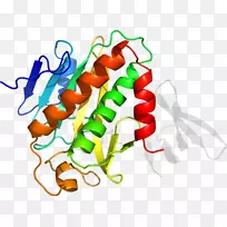 蔬菜有机体系列剪贴画-蔬菜-空若网 蔬菜有机体系列剪贴画-蔬菜-空若网