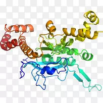 ���������鱦�߼�����.����-������