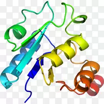 植物茎体珠宝剪贴画设计-空若网 植物茎体珠宝剪贴画设计-空若网