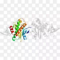 树食线剪贴画-树-空若网 树食线剪贴画-树-空若网