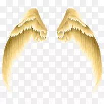 摄影剪贴画.金色翅膀-空若网 摄影剪贴画.金色翅膀-空若网