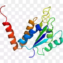 人体珠宝线有机体剪贴画线-空若网 人体珠宝线有机体剪贴画线-空若网