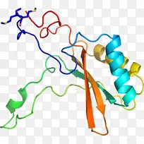 线点生物剪贴画线-空若网 线点生物剪贴画线-空若网