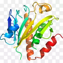 蔬菜剪贴画-蔬菜-空若网 蔬菜剪贴画-蔬菜-空若网