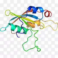 线点生物剪贴画线-空若网 线点生物剪贴画线-空若网