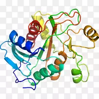 人体首饰有机体线剪贴画线-空若网 人体首饰有机体线剪贴画线-空若网