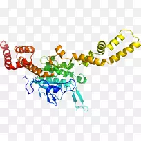 人体首饰有机体线剪贴画线-空若网 人体首饰有机体线剪贴画线-空若网