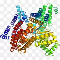 艺术身体珠宝有机体剪贴艺术珠宝首饰-空若网 艺术身体珠宝有机体剪贴艺术珠宝首饰-空若网