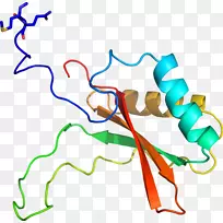 线点生物剪贴画线-空若网 线点生物剪贴画线-空若网