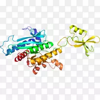昆虫图形设计剪贴画昆虫-空若网 昆虫图形设计剪贴画昆虫-空若网