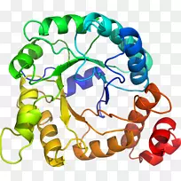 人体首饰有机体线剪贴画线-空若网 人体首饰有机体线剪贴画线-空若网