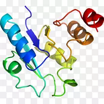 人体珠宝系列剪贴画.设计-空若网 人体珠宝系列剪贴画.设计-空若网