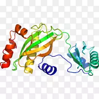 蔬菜有机体系列剪贴画-蔬菜-空若网 蔬菜有机体系列剪贴画-蔬菜-空若网