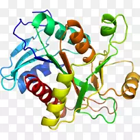 车身珠宝厂茎线剪贴画线-空若网 车身珠宝厂茎线剪贴画线-空若网
