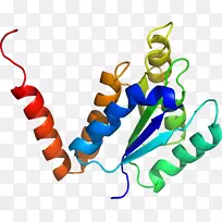 平面设计有机体线夹艺术设计-空若网 平面设计有机体线夹艺术设计-空若网
