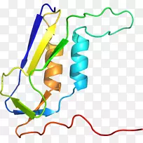 �ߵ������-��-������