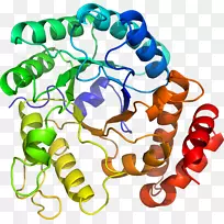 人体首饰有机体线剪贴画线-空若网 人体首饰有机体线剪贴画线-空若网