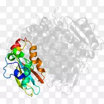 平面设计剪贴画.设计-空若网 平面设计剪贴画.设计-空若网