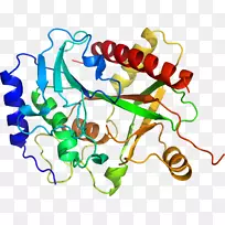 �����߶����������-������