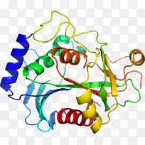 ���߼�����-��-������