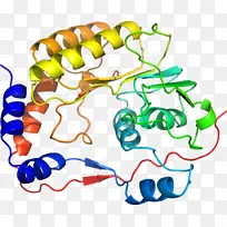生物人类行为线点剪贴画线-空若网 生物人类行为线点剪贴画线-空若网