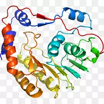 线点生物剪贴画线-空若网 线点生物剪贴画线-空若网